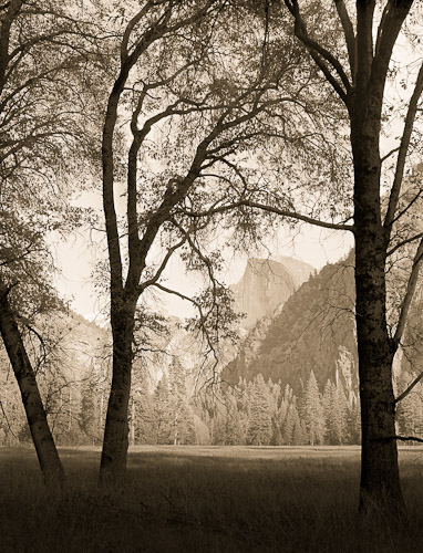 El Capitan from Legdig meadow