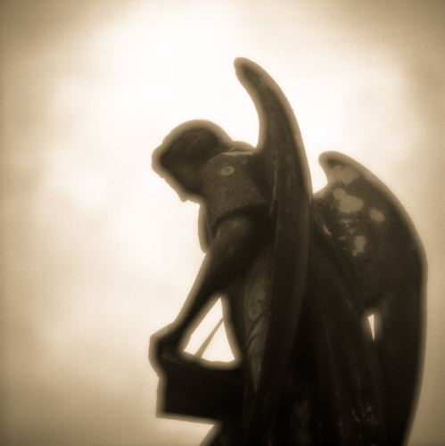 Angel Study, Old Cobh Cemetery, Co. Cork